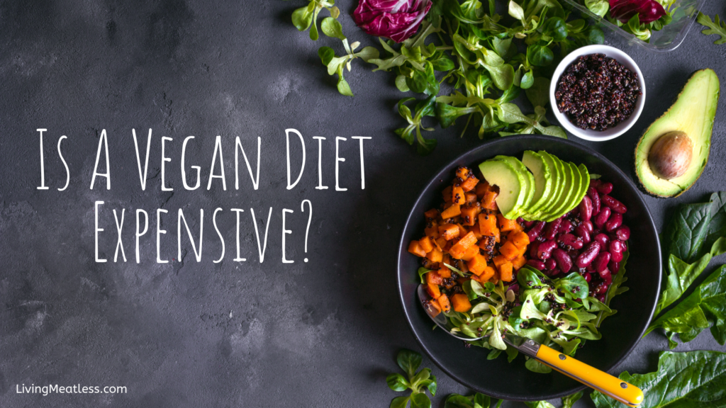 is-a-vegan-diet-expensive-living-meatless-nutrition-wellness-with